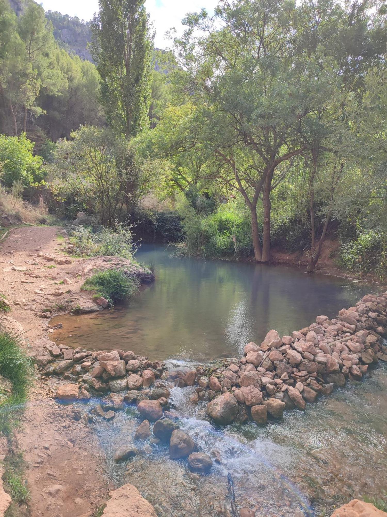 El Canton Bogarra Bagian luar foto