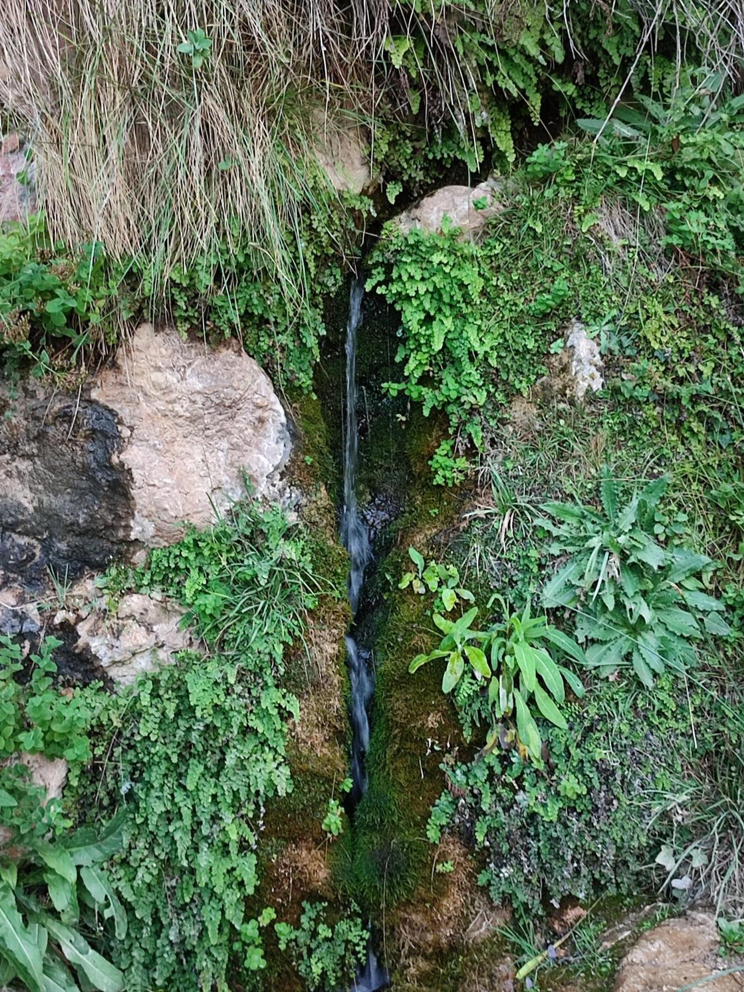El Canton Bogarra Bagian luar foto